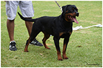 CUMA VON DASSA ROTTS