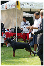 CUMA VON DASSA ROTTS