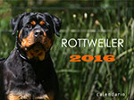 Calendario de Rottweiler 2016