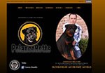 www.polancorotts.com