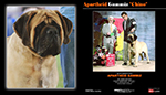 www.orreymastiffs.com.mx