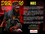 Neris Rottweilers