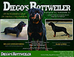 Camada Diego's Rottweiler