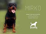 RottweilerMéxico.com