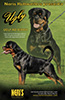 Neris Rottweilers