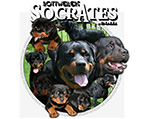 Logo de www.rottweilerssocrates.com