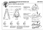 Grafico de dentadura y mordida