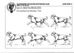 Grafico de Movimiento