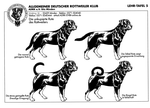 Grafico de la cola