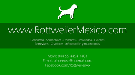 Contacto