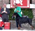 VALENTINO VON ADLERHAUS TT HD+/- ED-