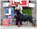 VALENTINO VON ADLERHAUS TT HD+/- ED-