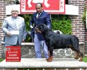 VALENTINO VON ADLERHAUS TT HD+/- ED-