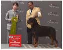 VALENTINO VON ADLERHAUS TT HD+/- ED-