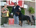 VALENTINO VON ADLERHAUS TT HD+/- ED-