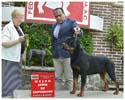 VALENTINO VON ADLERHAUS TT HD+/- ED-