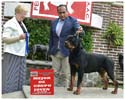 VALENTINO VON ADLERHAUS TT HD+/- ED-