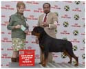 VALENTINO VON ADLERHAUS TT HD+/- ED-