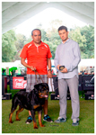 VALENTINO VON ADLERHAUS TT HD+/- ED-
