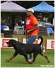 VALENTINO VON ADLERHAUS TT HD+/- ED-